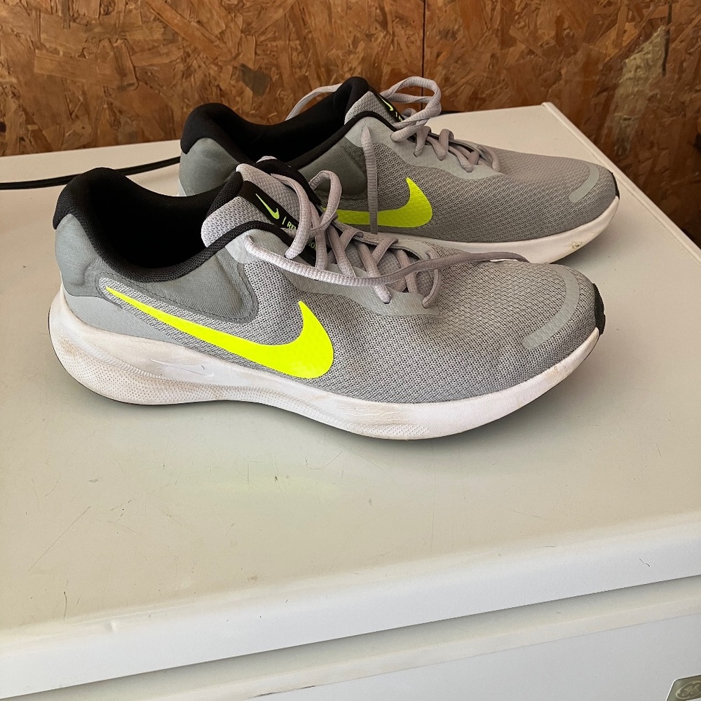 Mens Nike Revolution Shoe